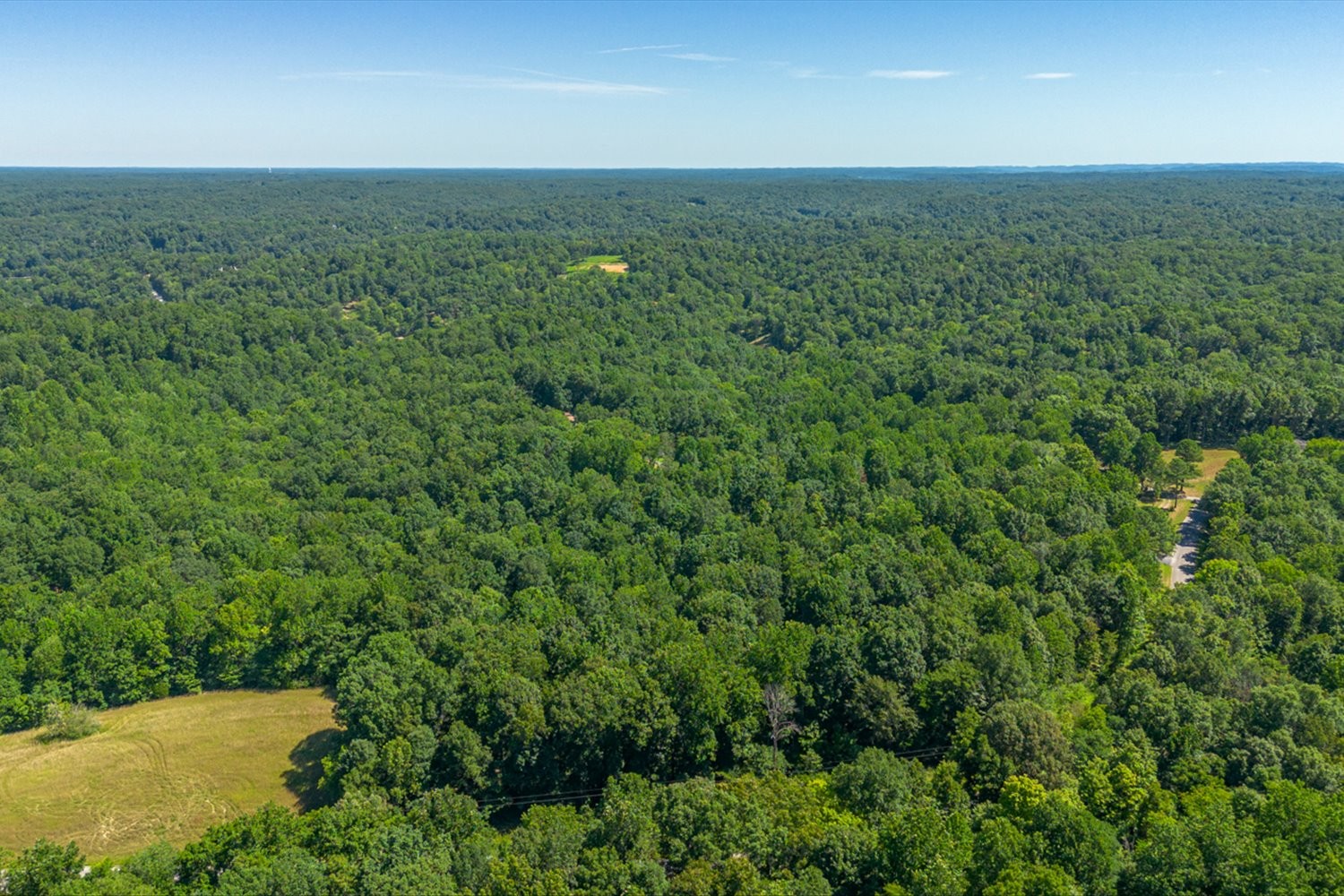 0 Chestnut Ridge Road Columbia, TN 38401 - Photo 12 of 35 an aerial view of a houses with a yard