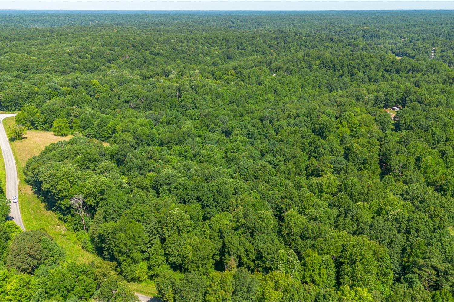 0 Chestnut Ridge Road Columbia, TN 38401 - Photo 14 of 35 a view of a lush green space