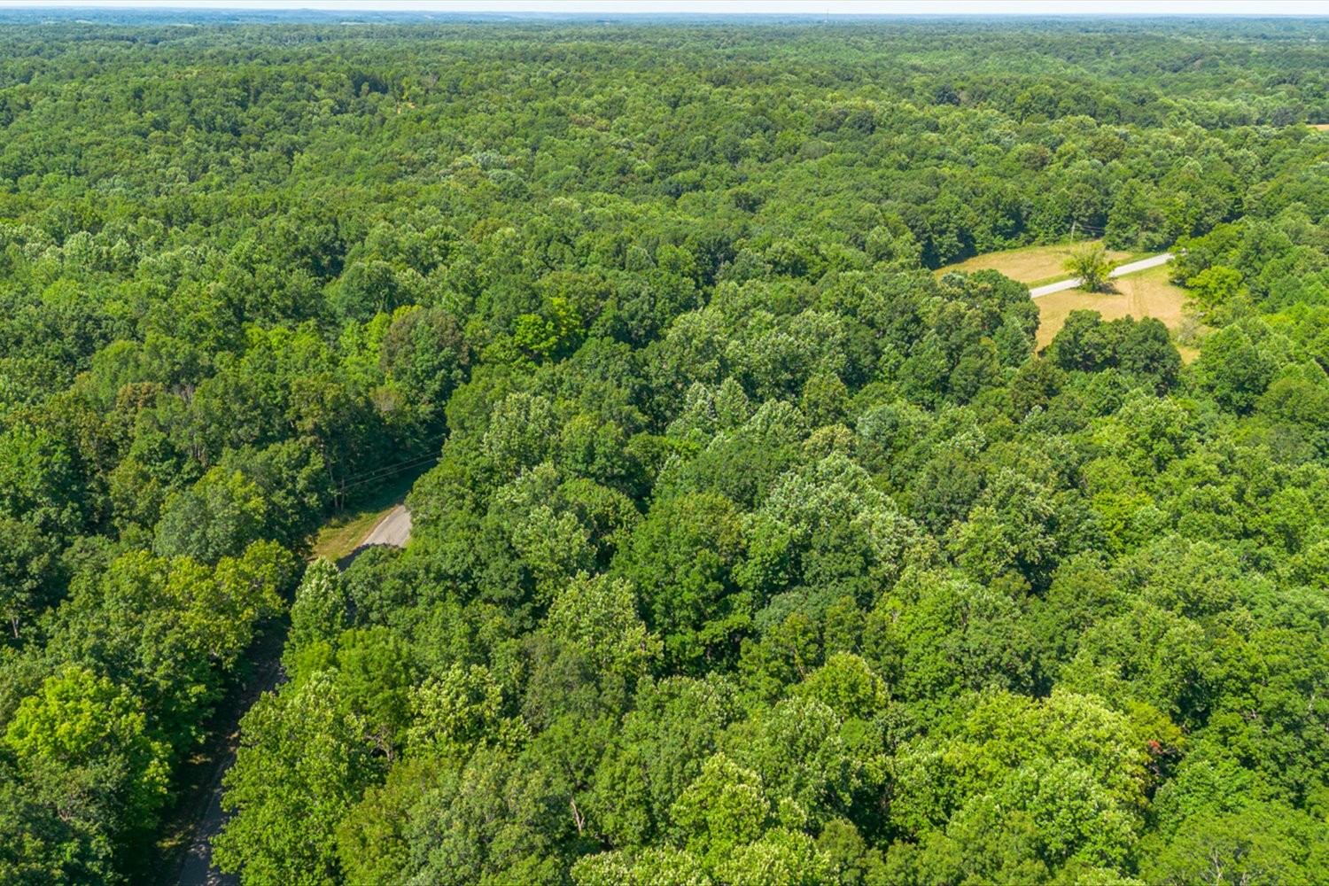 0 Chestnut Ridge Road Columbia, TN 38401 - Photo 17 of 35 an aerial view of residential houses with outdoor space and trees
