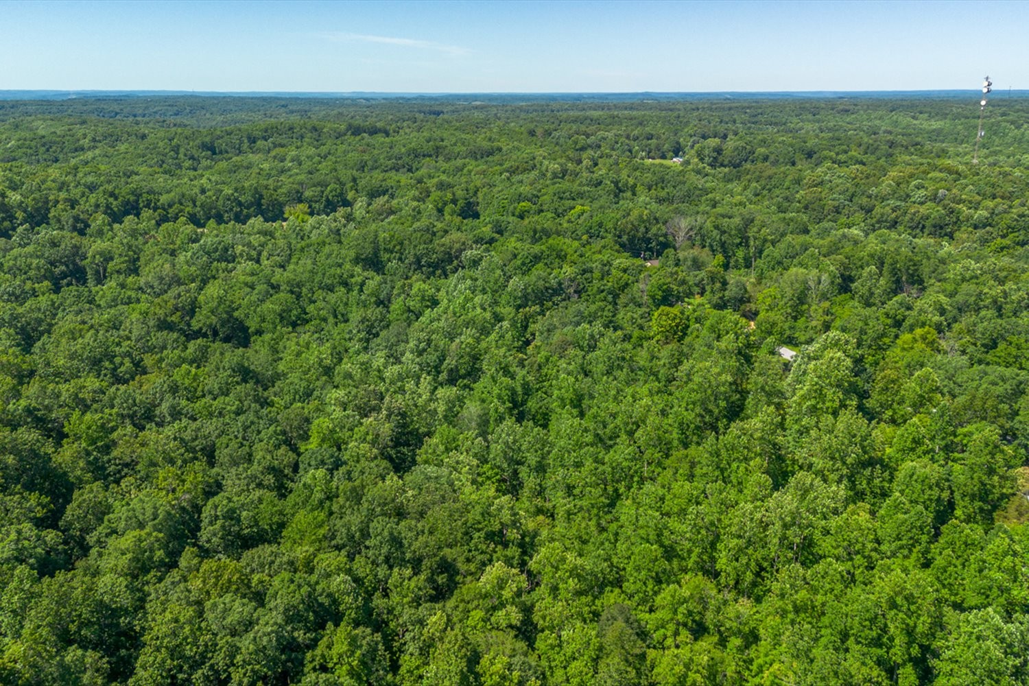 0 Chestnut Ridge Road Columbia, TN 38401 - Photo 20 of 35 an aerial view of residential houses with outdoor space and trees