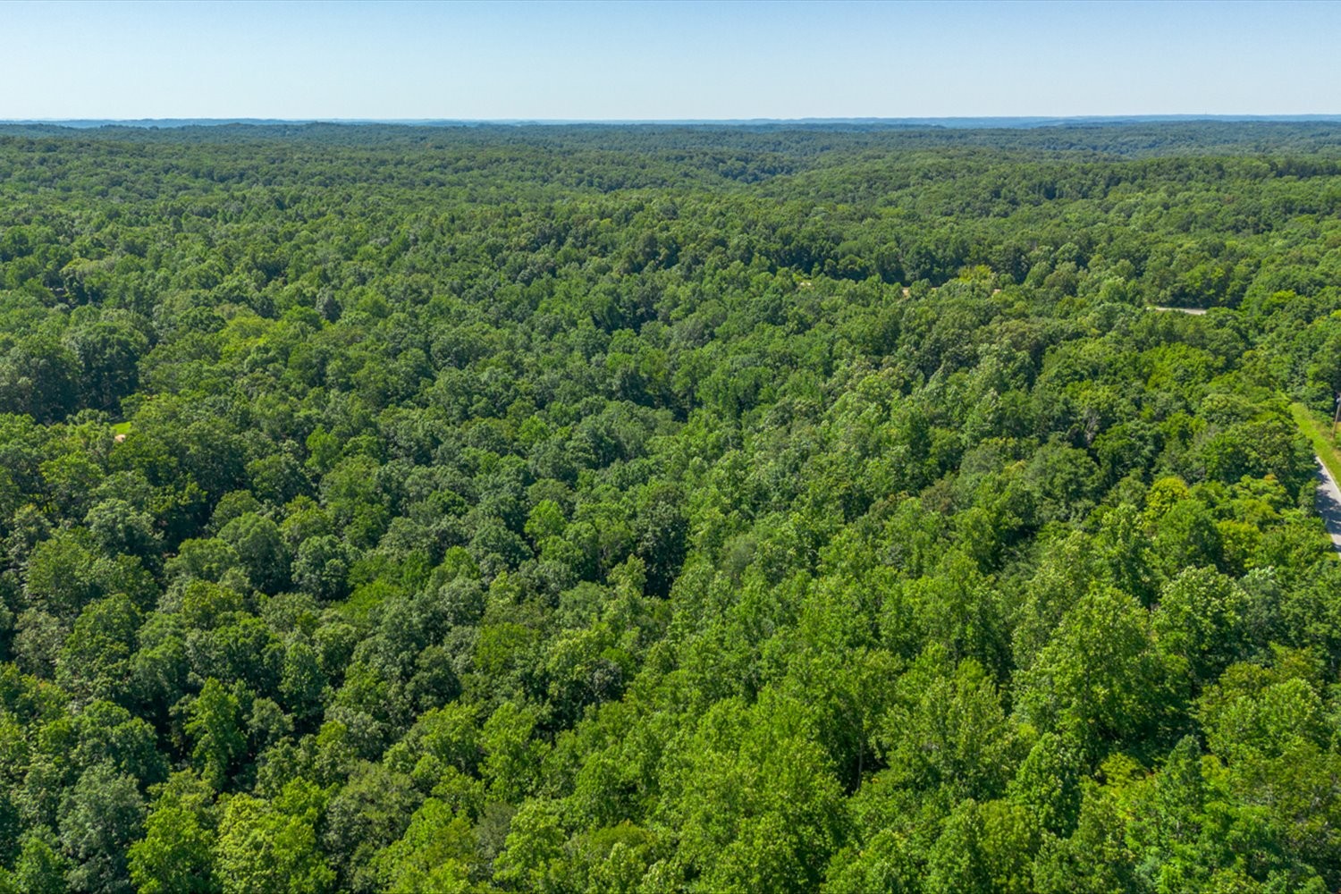 0 Chestnut Ridge Road Columbia, TN 38401 - Photo 21 of 35 an aerial view of residential houses with outdoor space and trees