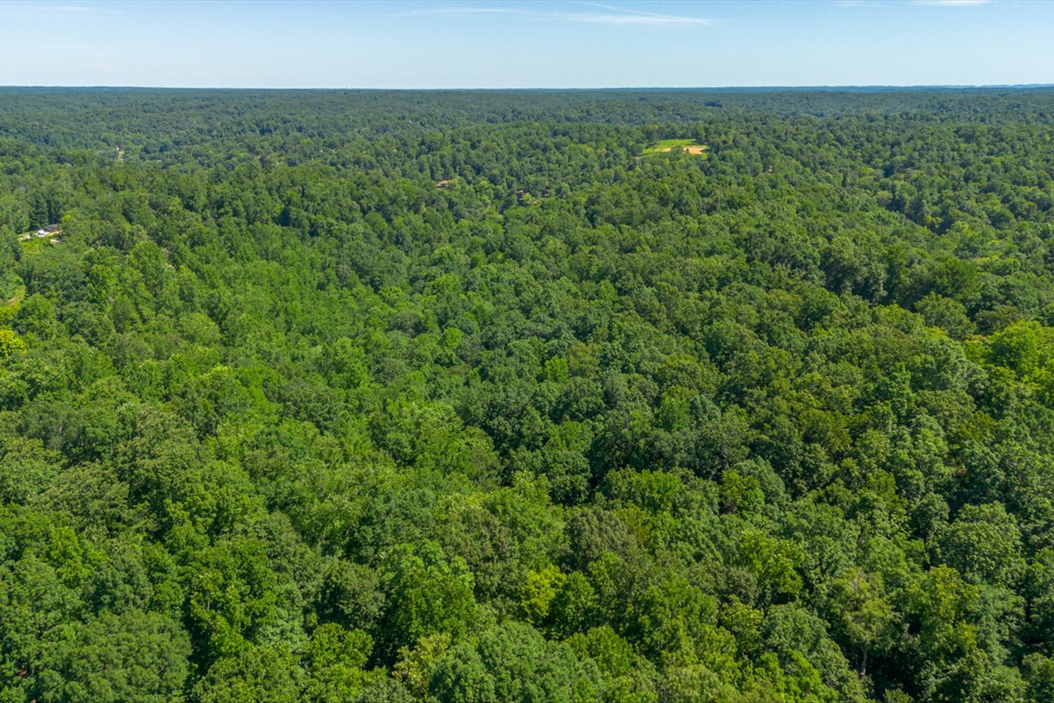 0 Chestnut Ridge Road Columbia, TN 38401 - Photo 22 of 35 a view of a field of grass and trees
