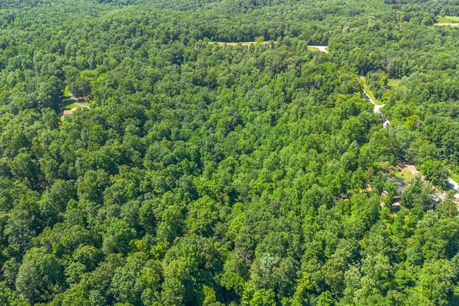 0 Chestnut Ridge Road Columbia, TN 38401 - Photo 24 of 35 a view of a lush green forest with a houses