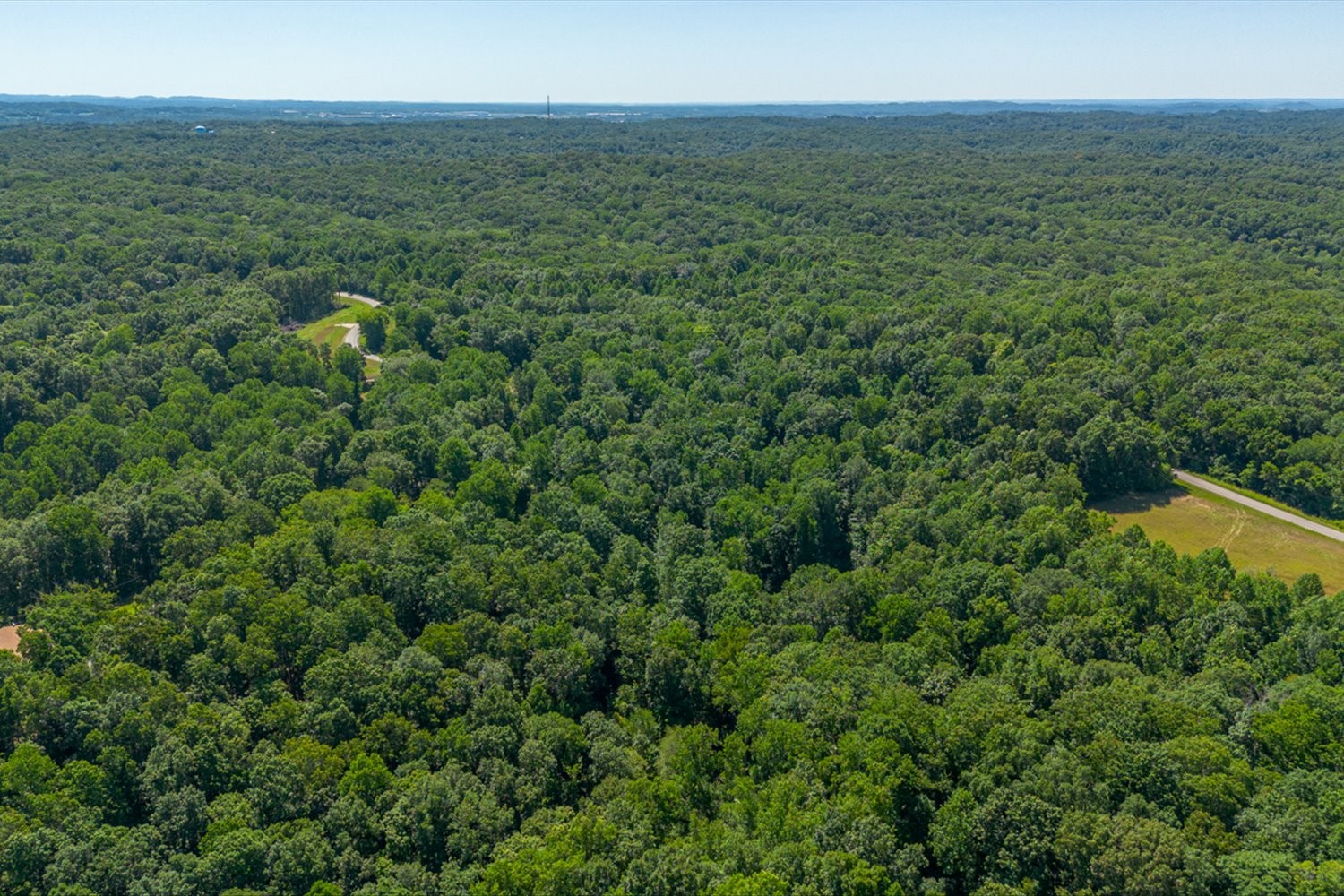 0 Chestnut Ridge Road Columbia, TN 38401 - Photo 25 of 35 a view of a field with an outdoor space