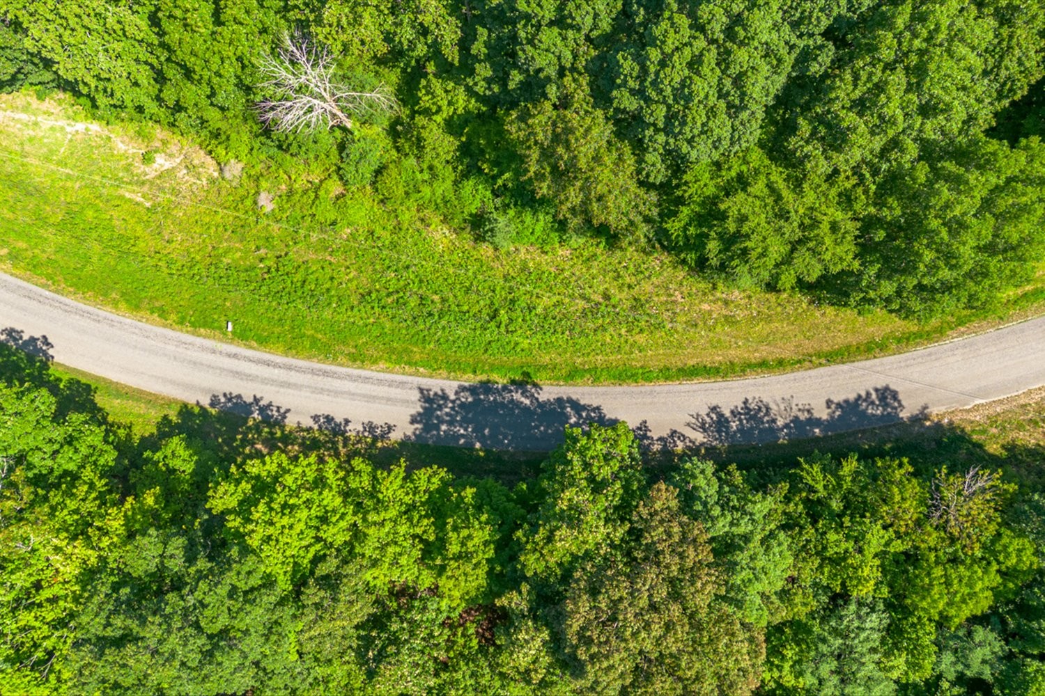 0 Chestnut Ridge Road Columbia, TN 38401 - Photo 27 of 35 a view of a garden with a tree