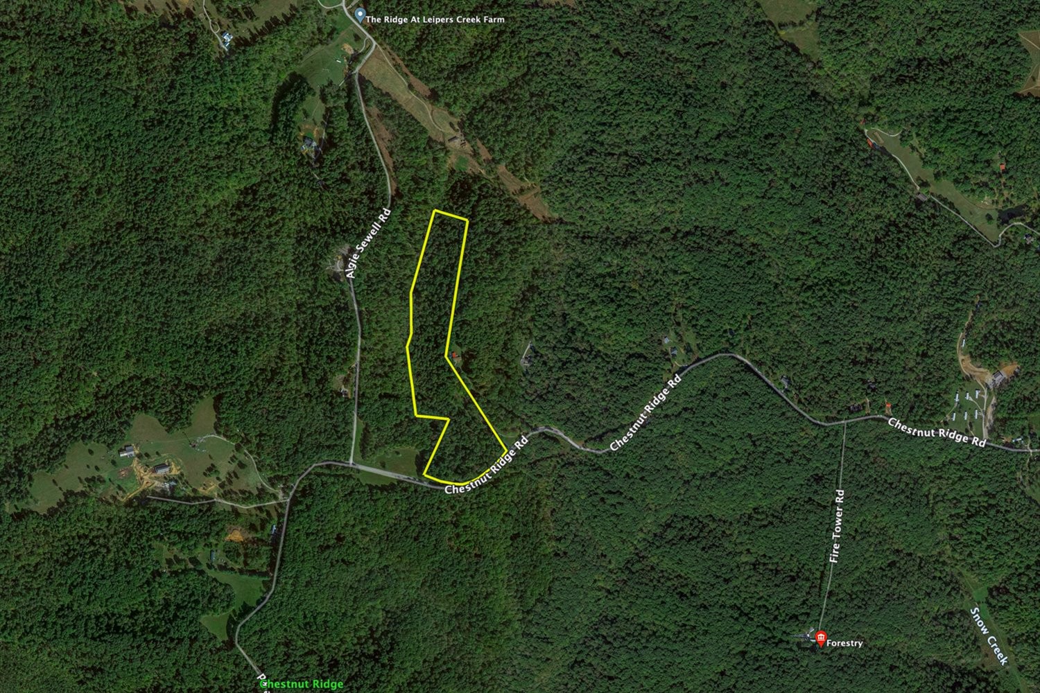 0 Chestnut Ridge Road Columbia, TN 38401 - Photo 30 of 35 a view of a fan and basketball court