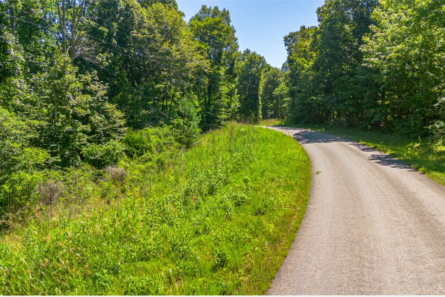 0 Chestnut Ridge Road Columbia, TN 38401 - Photo 3 of 35 a view of a pathway of a park