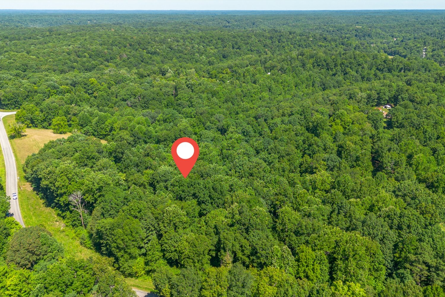 0 Chestnut Ridge Road Columbia, TN 38401 - Photo 7 of 35 a view of a green yard