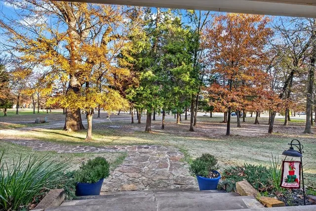a view of a yard with plants and trees