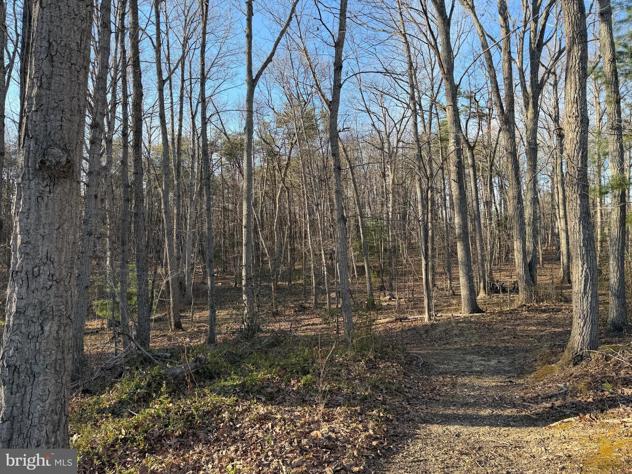 a view of outdoor space with green space