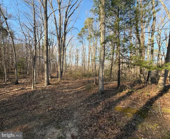 $142,500 | Woodland Church Road, Culpeper, VA 22701