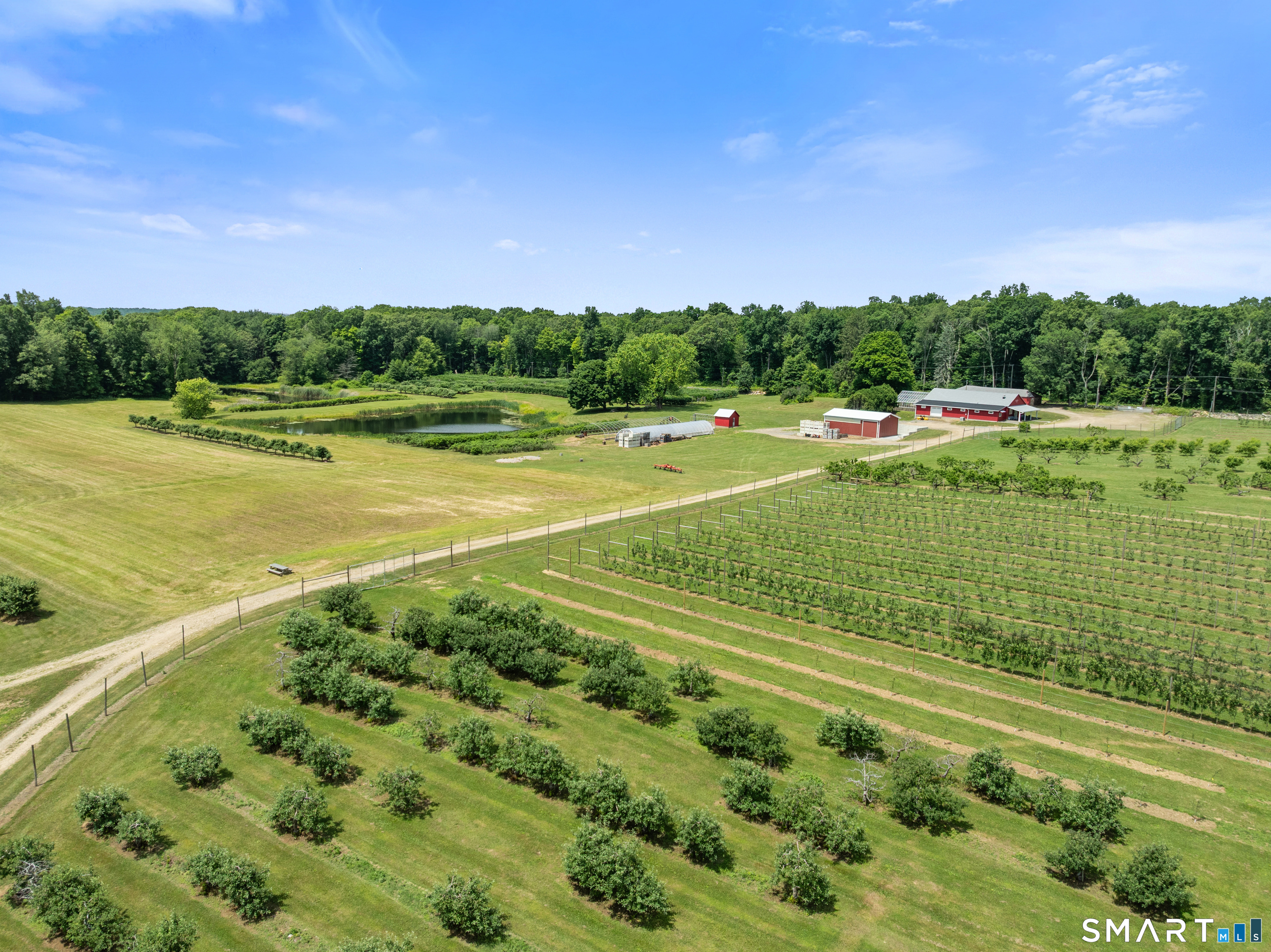 317 Bebbington Road Ashford, CT 06278 - Photo 8 of 40