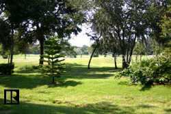 700 Starkey Road, Unit 223 Largo, FL 33771 - Photo 8 of 9 a view of backyard with green space