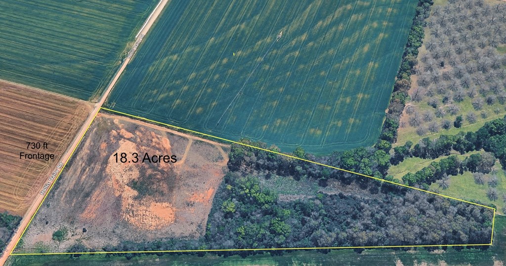 18.3-acres Hollis Dairy Road Newton, AL 36352 - Photo 2 of 11