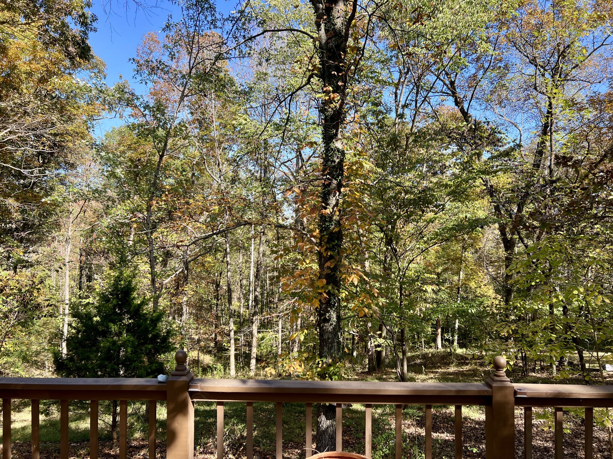 329 Valley View Road Dover, TN 37058 - Photo 10 of 35 a view of a balcony with an outdoor space