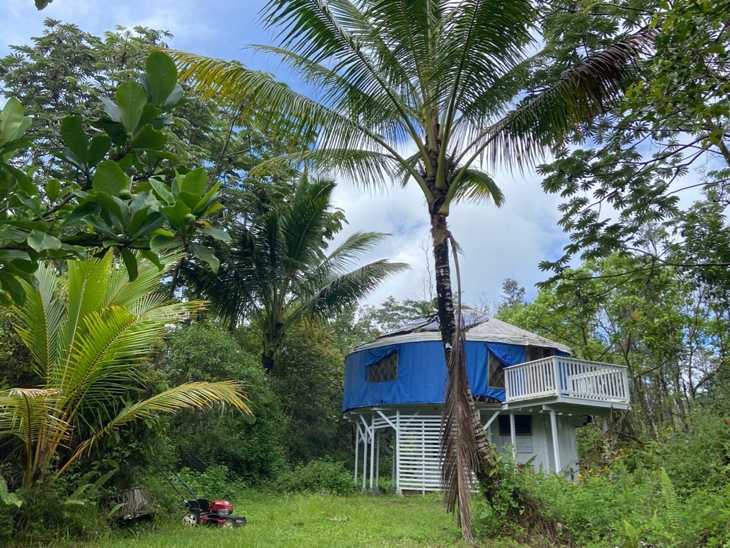 a house with palm tree in front of it