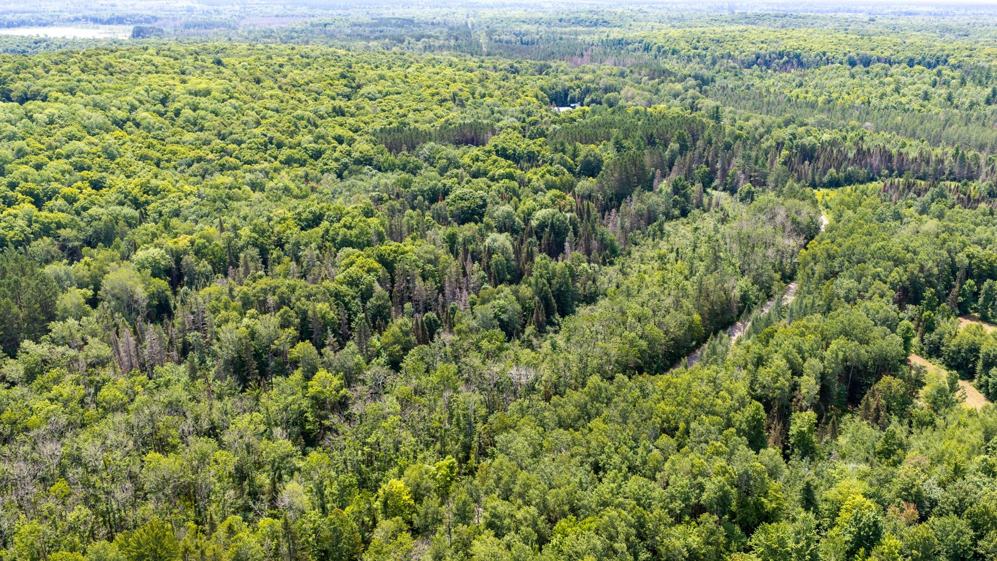 Lot 1 Timber Wolf Road Presque Isle, WI 54557 - Photo 12 of 16 Gallery Image 12