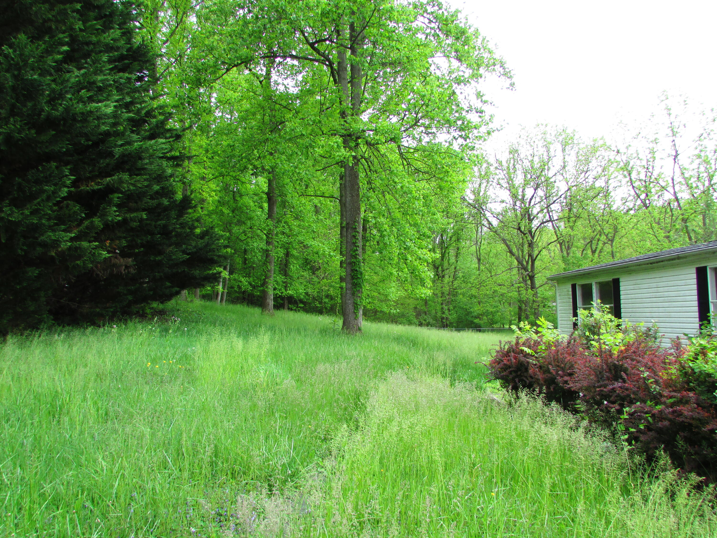 117 A A Deakins Road Jonesborough, TN 37659 - Photo 3 of 42 117 AA Deakins Road Jonesborough TN 3765