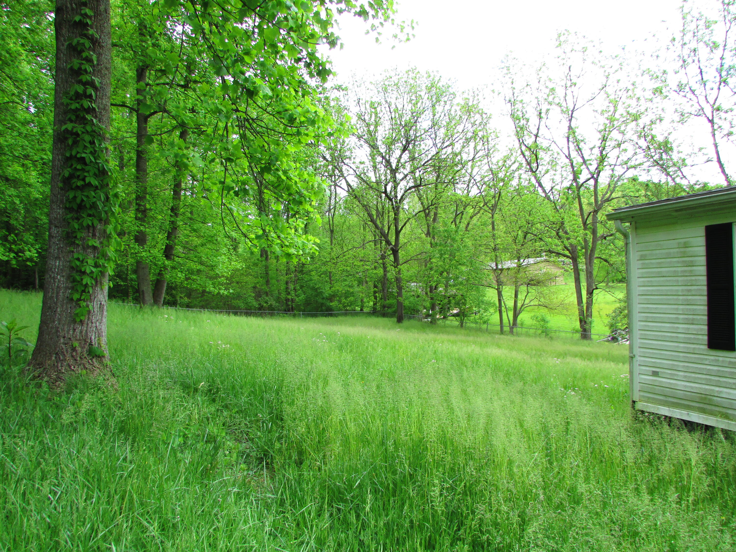 117 A A Deakins Road Jonesborough, TN 37659 - Photo 4 of 42 117 AA Deakins Road Jonesborough TN 3765