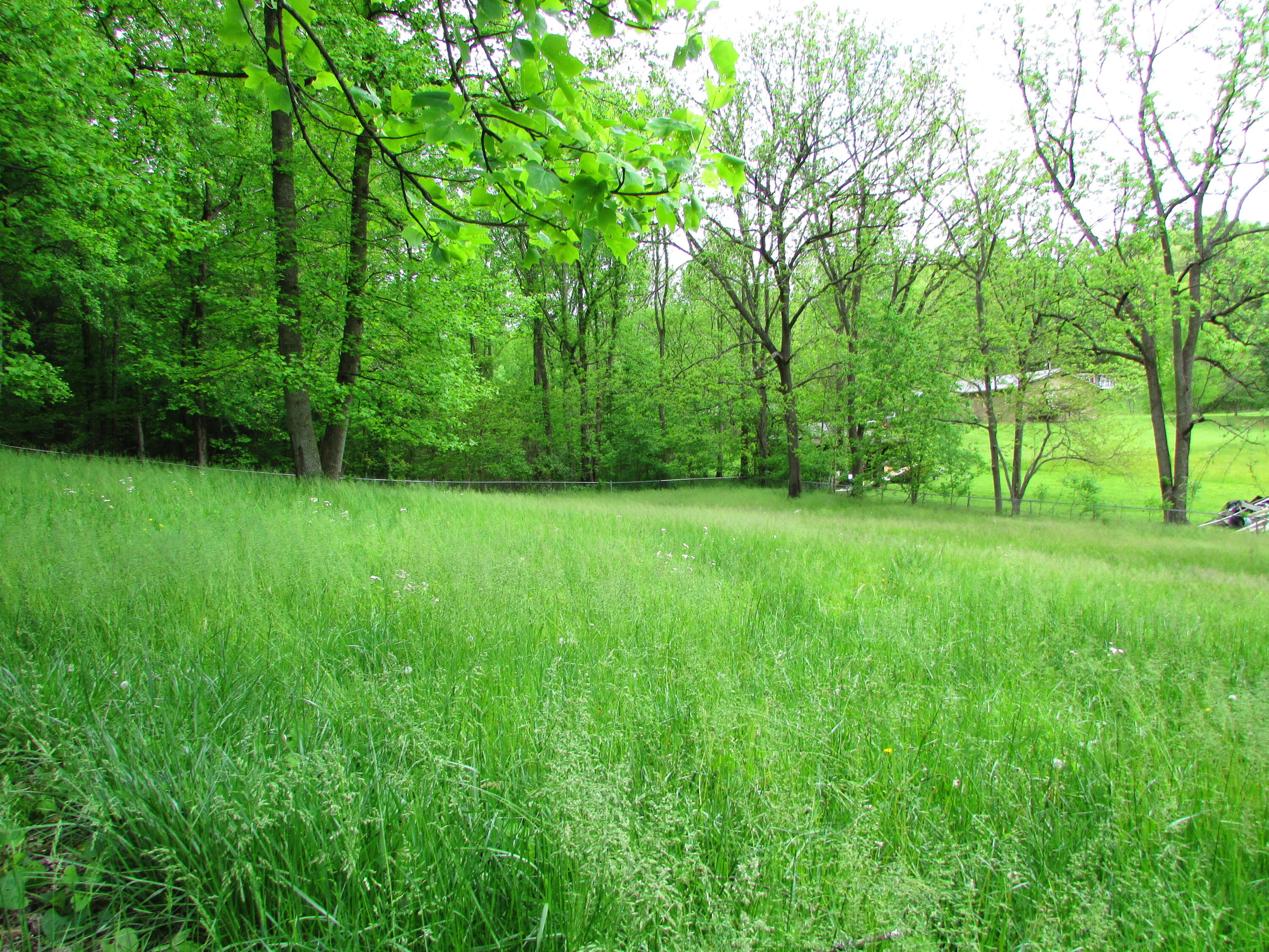 117 A A Deakins Road Jonesborough, TN 37659 - Photo 5 of 42 117 AA Deakins Road Jonesborough TN 3765