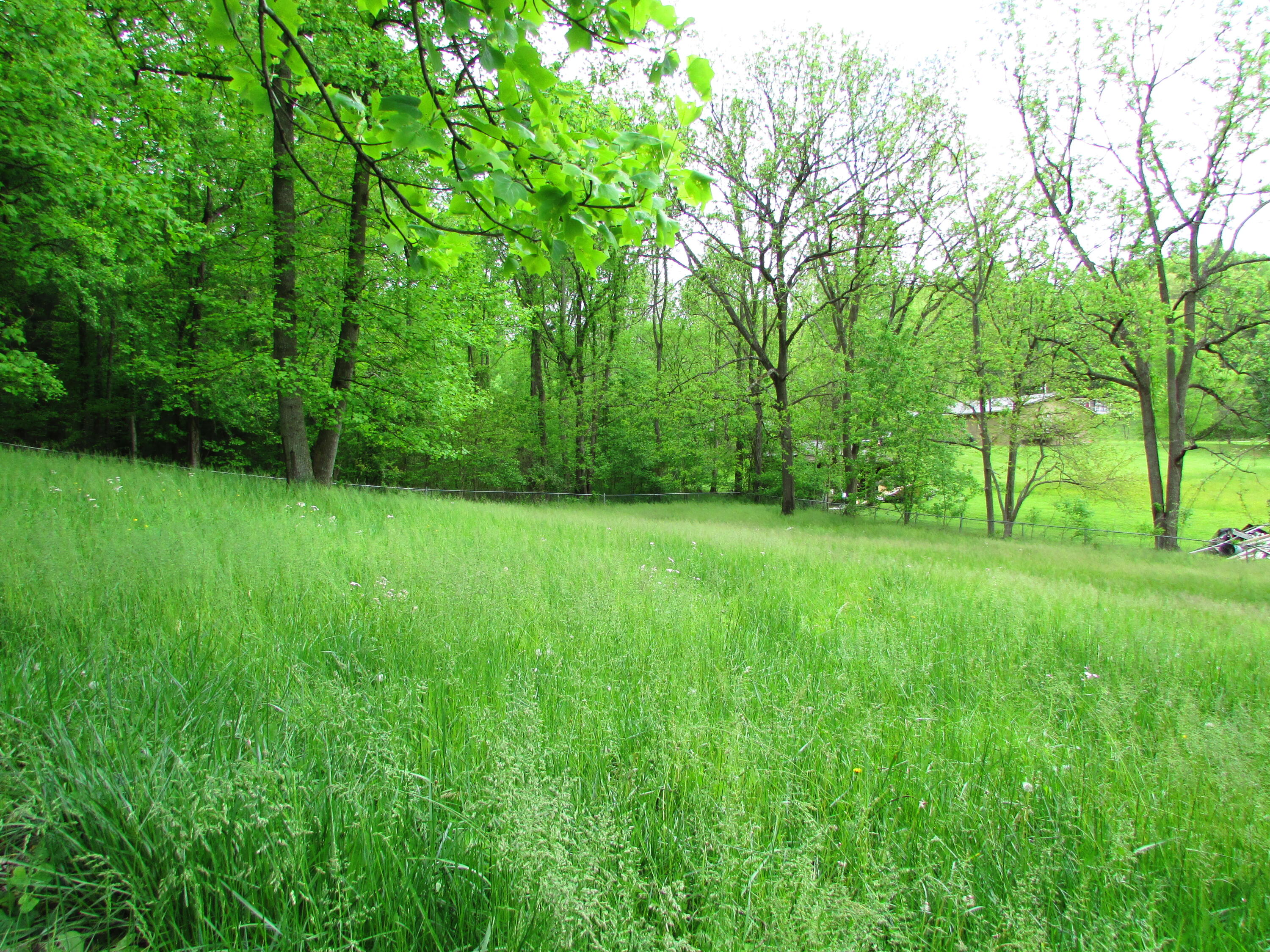 117 A A Deakins Road Jonesborough, TN 37659 - Photo 6 of 42 117 AA Deakins Road Jonesborough TN 3765