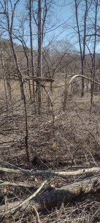2 Pine Grove Road Beattyville, KY 41311 - Photo 3 of 11 image000009_48