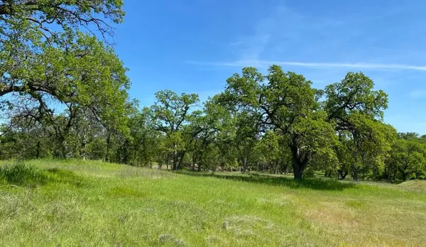 a view of a green yard