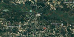 150 Kyle Staines Road Baxley, GA 31513 - Photo 2 of 3