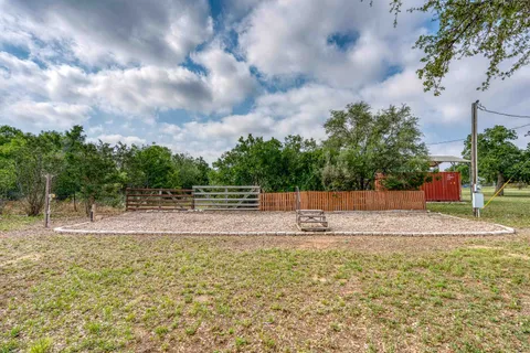 a view of a tree in a yard