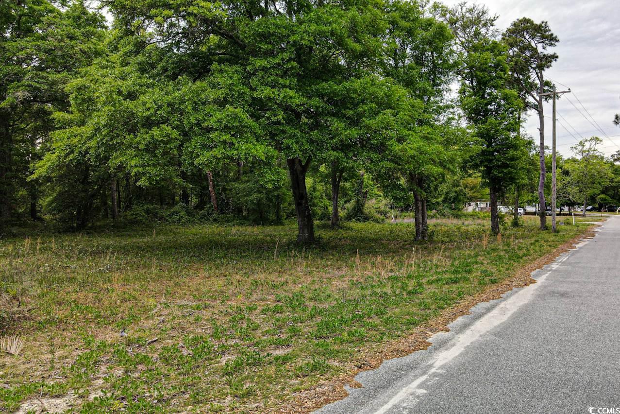 2 Little River Neck Road North Myrtle Beach, SC 29582 - Photo 8 of 12 Gallery Image 8