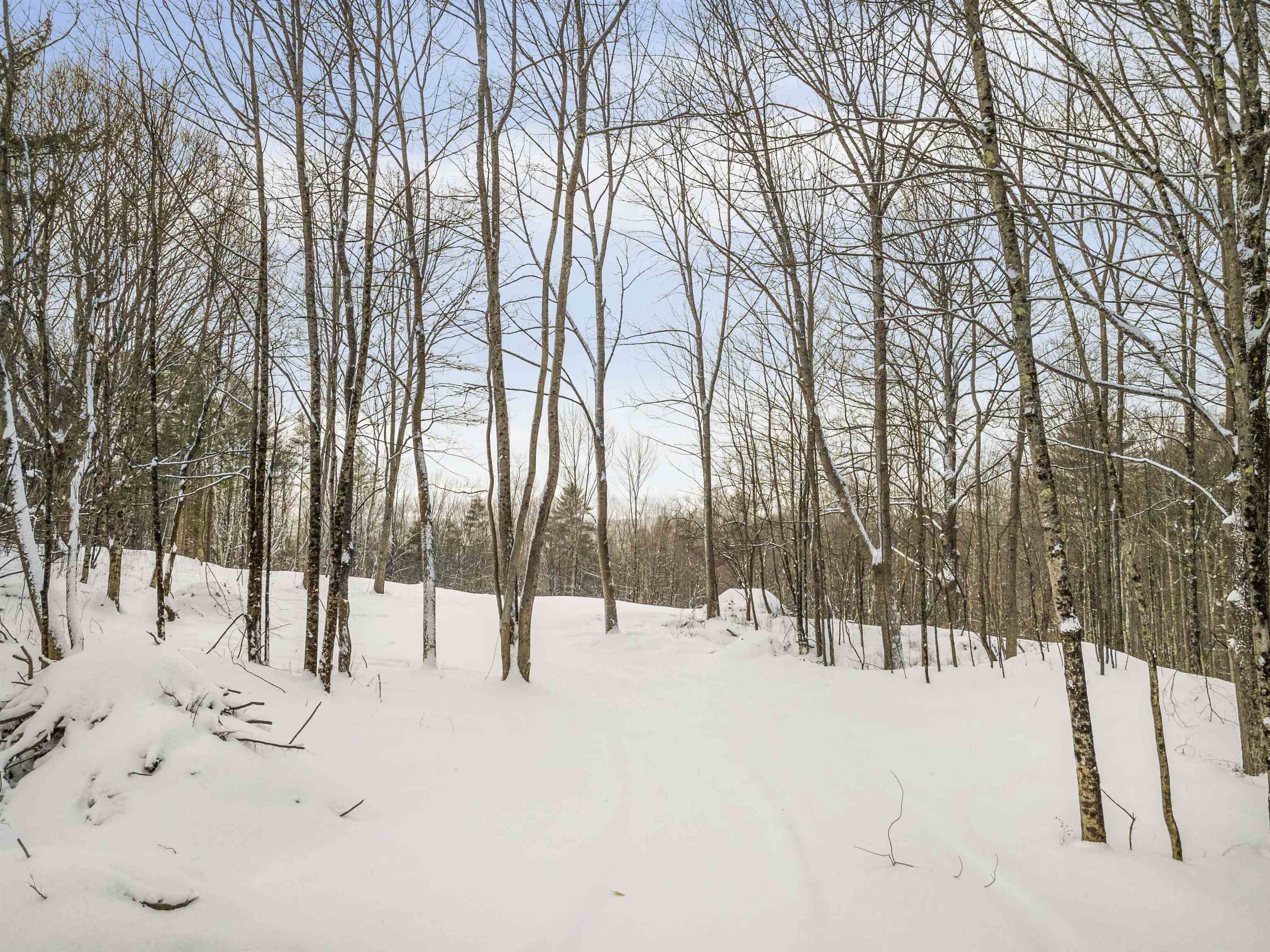 0 Olcott Road Norwich, VT 05055 - Photo 9 of 15