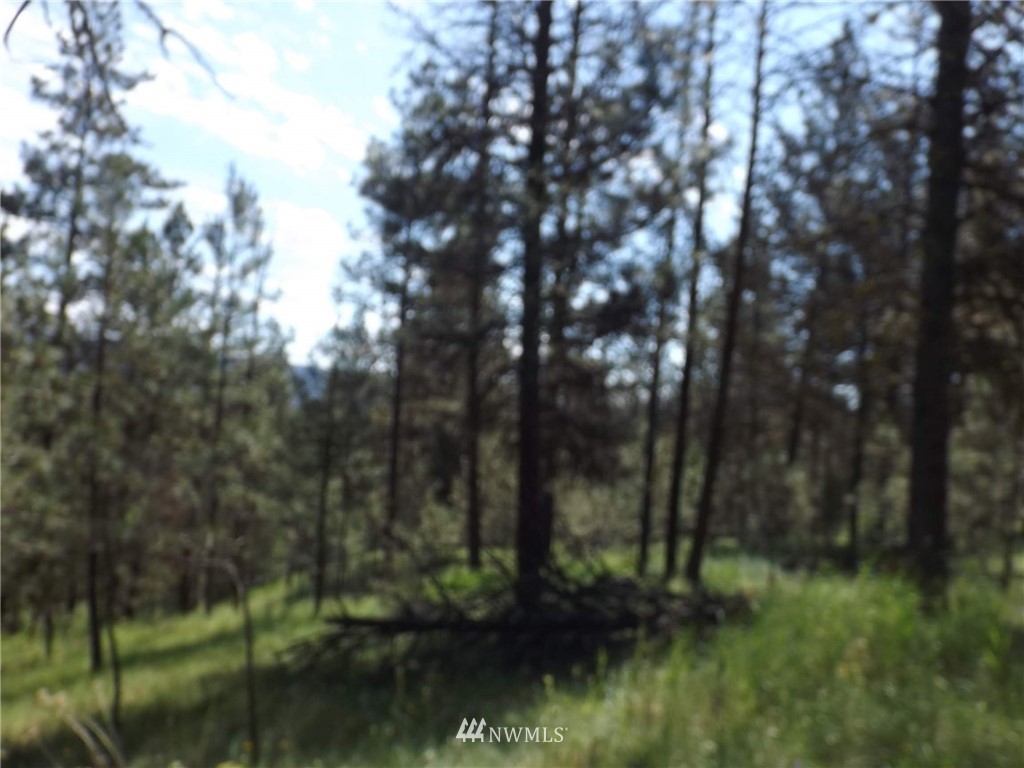 0 West Lyman Lake Road Tonasket, WA 98855 - Photo 14 of 21 Gallery Image 14