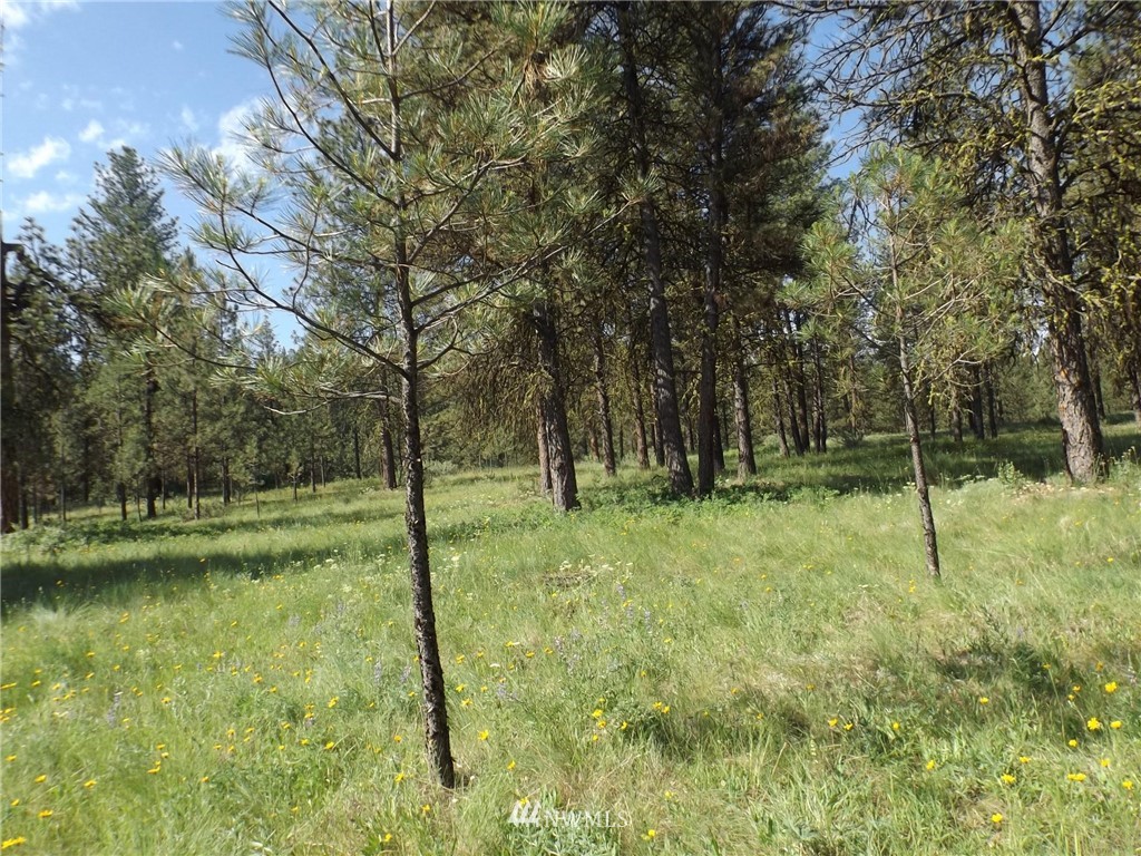 0 West Lyman Lake Road Tonasket, WA 98855 - Photo 3 of 21 Gallery Image 3