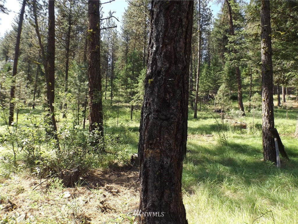 0 West Lyman Lake Road Tonasket, WA 98855 - Photo 8 of 21 Gallery Image 8
