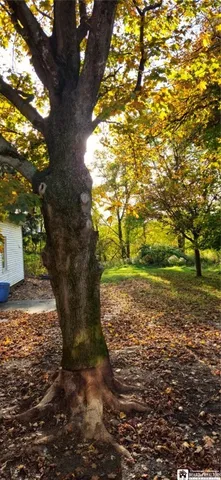 $249,900 | 262 Temple Street, Pomfret, NY 14063