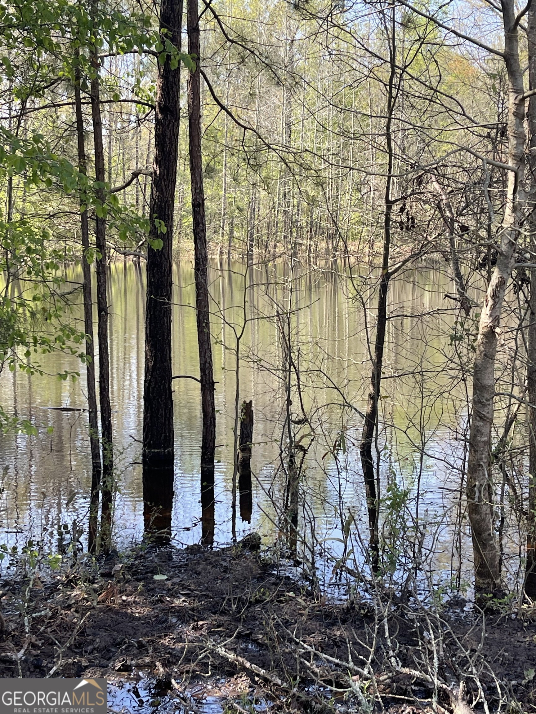 3-acres Anderson Road Griffin, GA 30223 - Photo 3 of 6