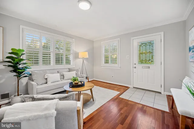 a living room with furniture and a potted plant
