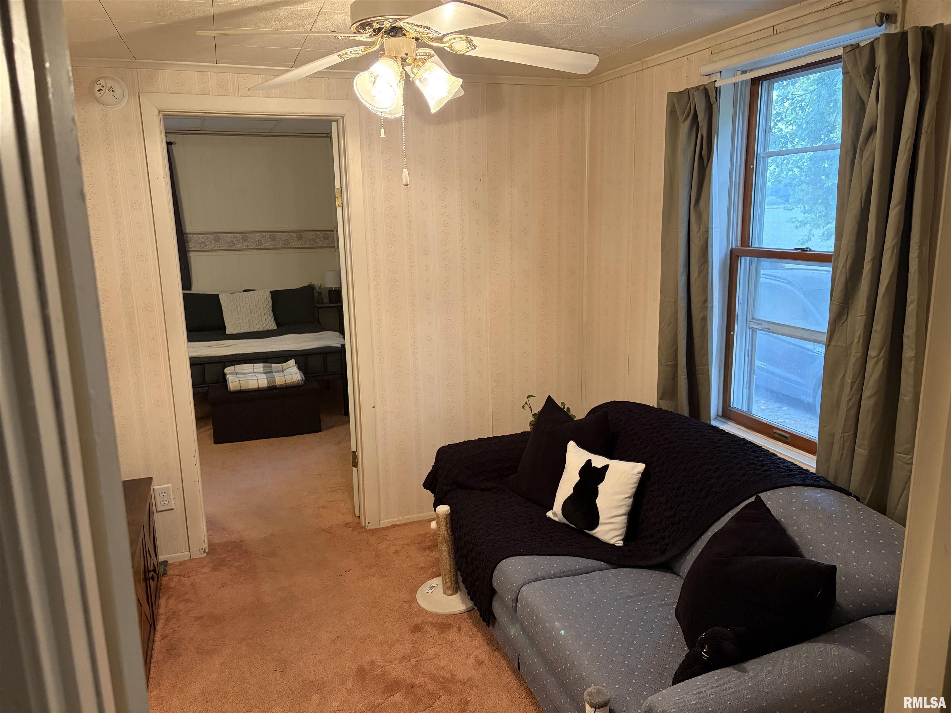 460 George Street Bulpitt, IL 62517 - Photo 9 of 15