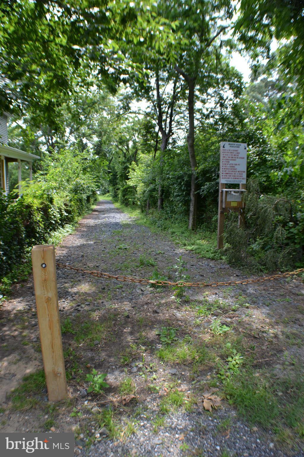 392 Riverside Drive Pasadena, MD 21122 - Photo 28 of 30 a backyard of a house with lots of green space