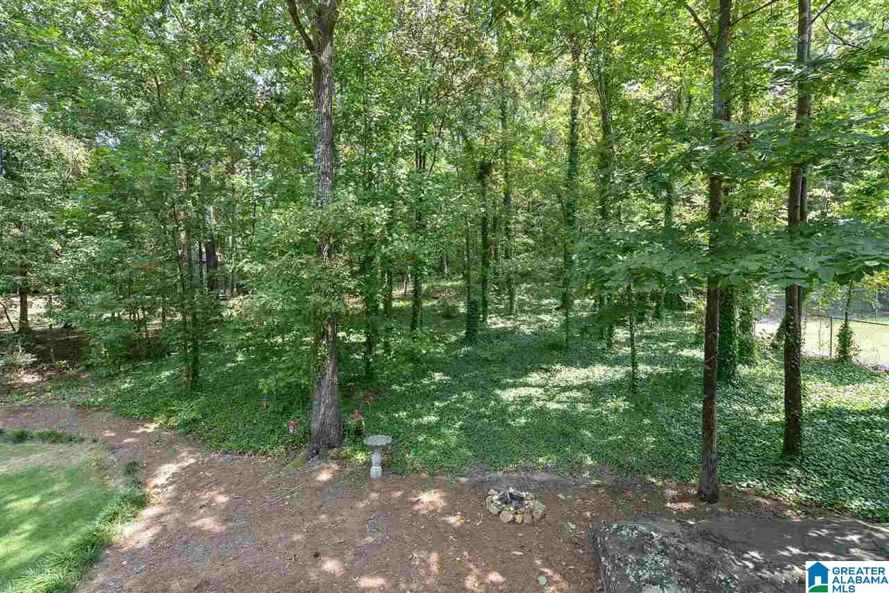 1425 Eden Ridge Circle Birmingham, AL 35244 - Photo 9 of 49