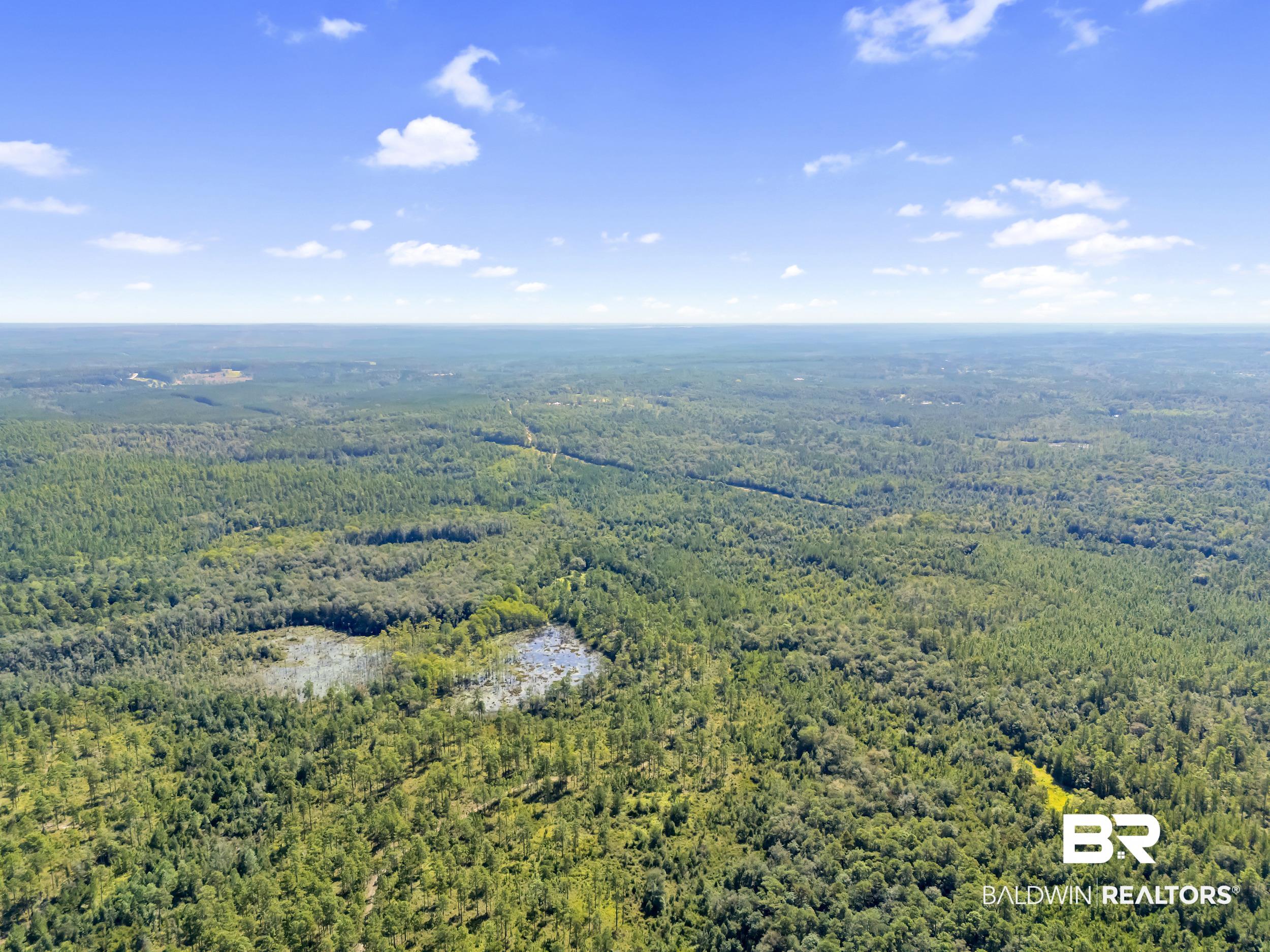 0 Arden Road Chunchula, AL 36521 - Photo 18 of 18 Bird's eye view of a forest