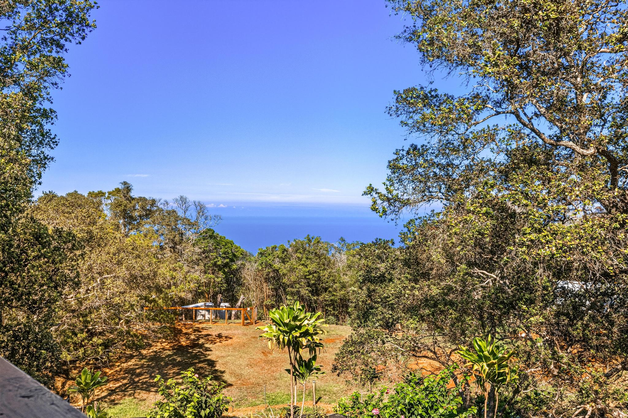 43-5745 Old Stable Road Paauilo, HI 96776 - Photo 4 of 30