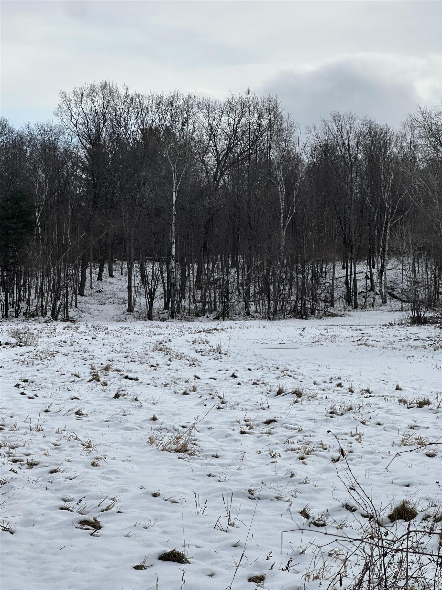 0 Columbus Smith Road Salisbury, VT 05769 - Photo 3 of 4