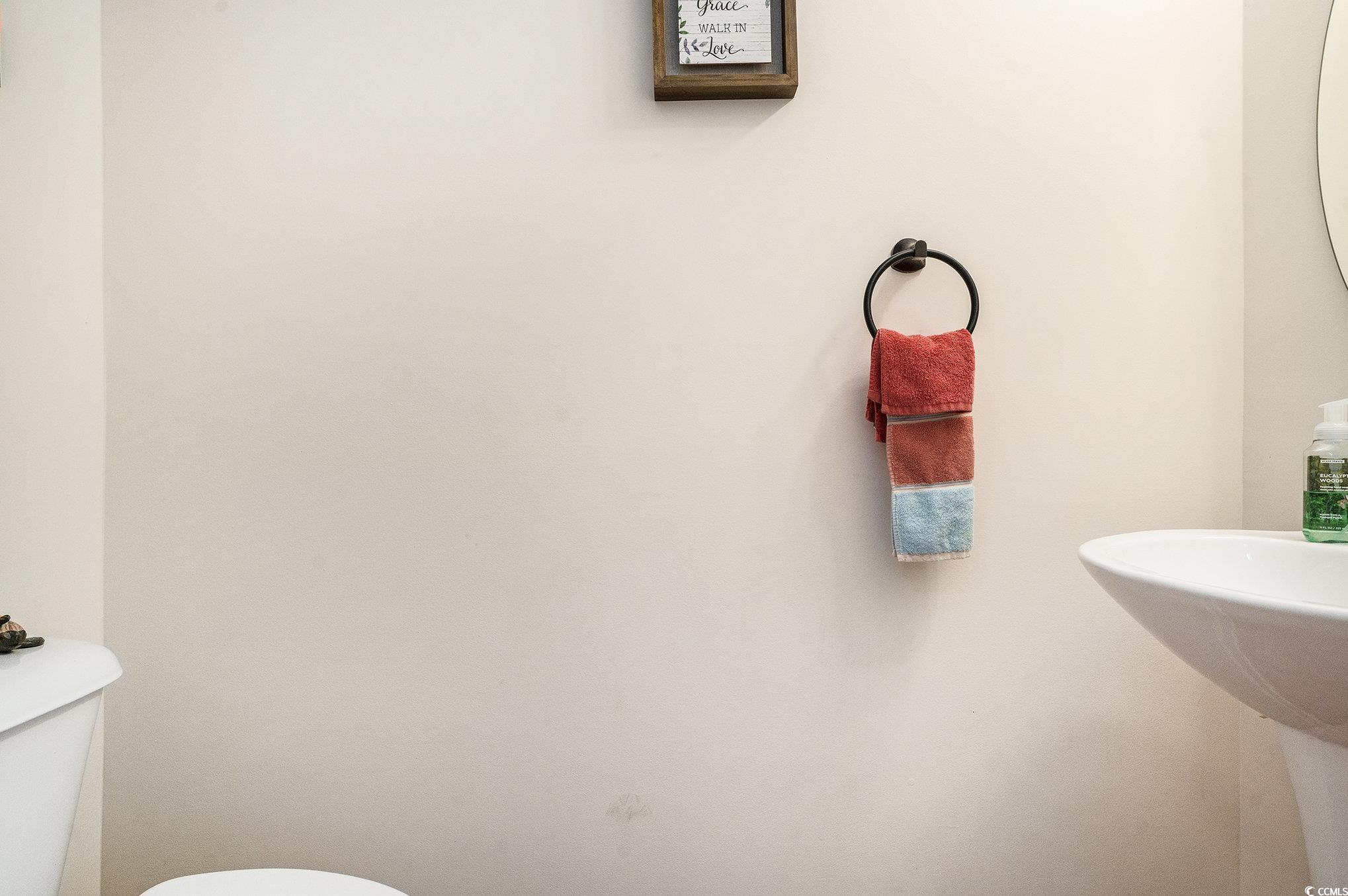 763 Trap Shooter Circle Longs, SC 29568 - Photo 13 of 37 Half bath with toilet