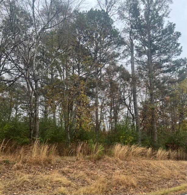 Burrows Road Jasper, AL 35504 - Photo 1 of 2 Gallery Image 1