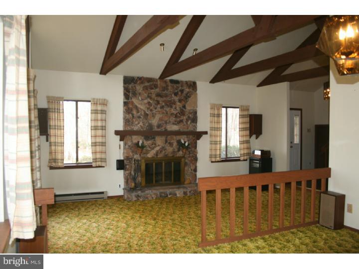 311 Ridge Road Spring City, PA 19475 - Photo 4 of 16 Fireplace