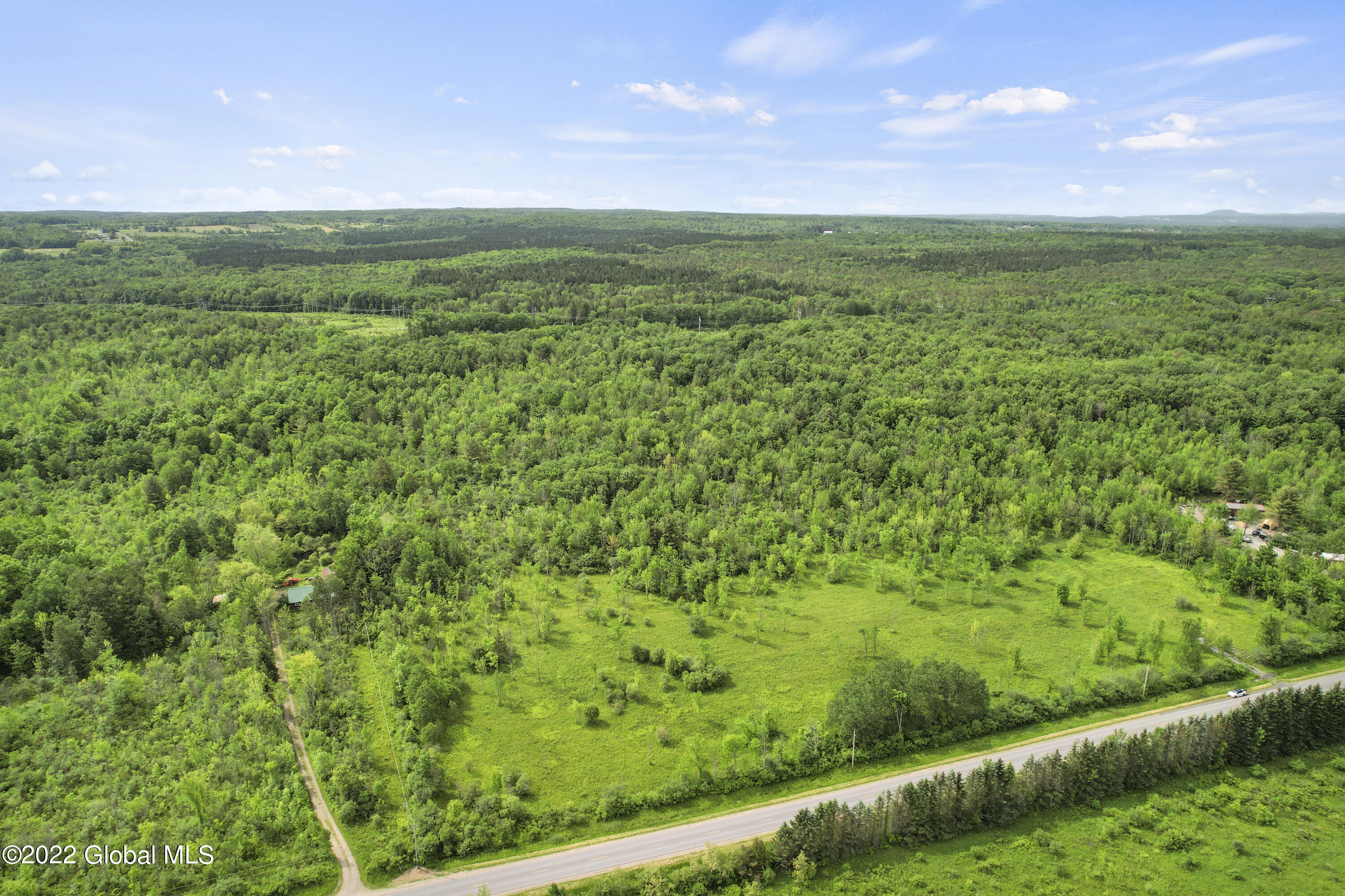 0 Logtown Road Fultonville, NY 12072 - Photo 11 of 11 8-DJI_0477