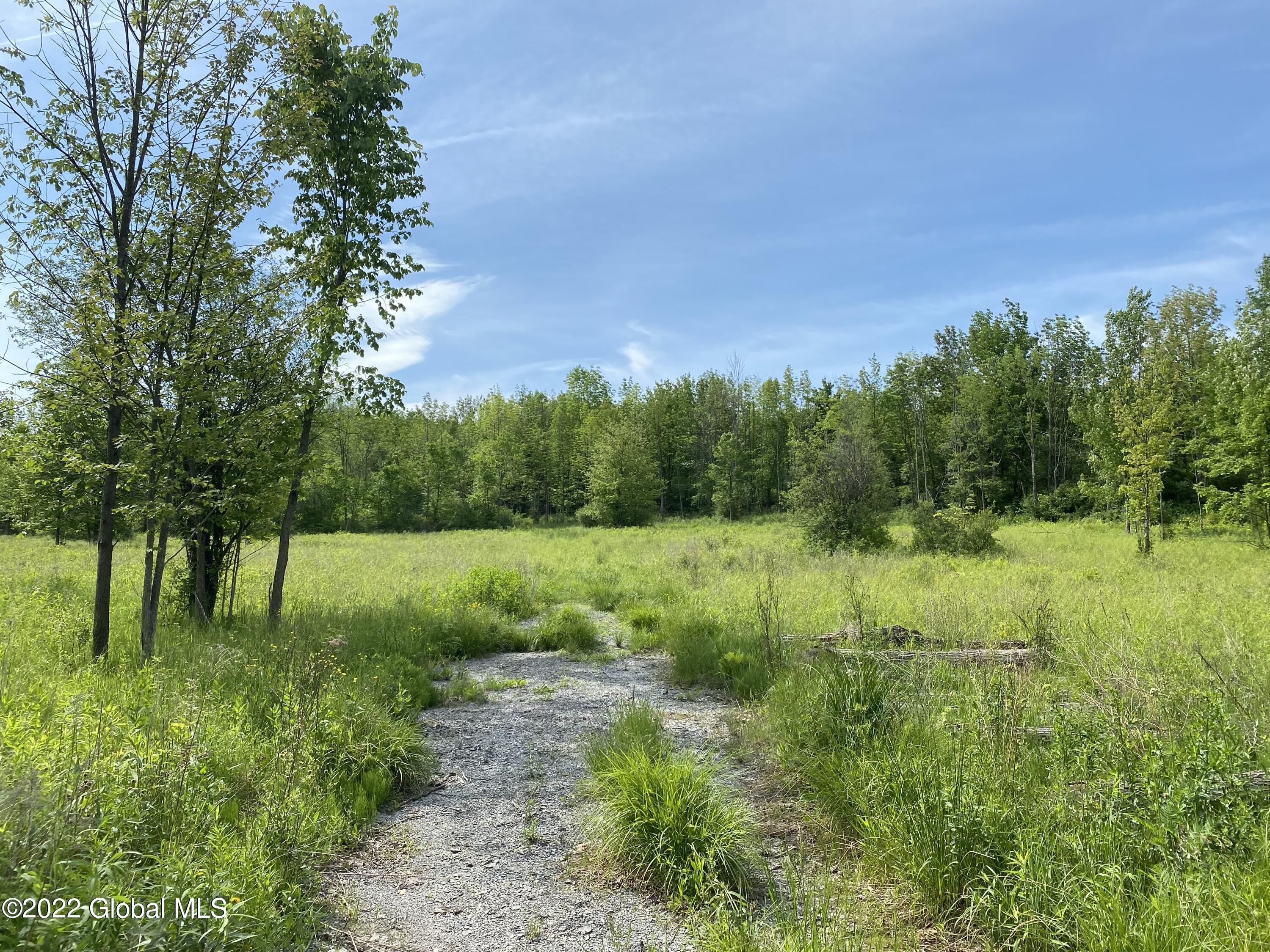 0 Logtown Road Fultonville, NY 12072 - Photo 2 of 11 IMG_3520