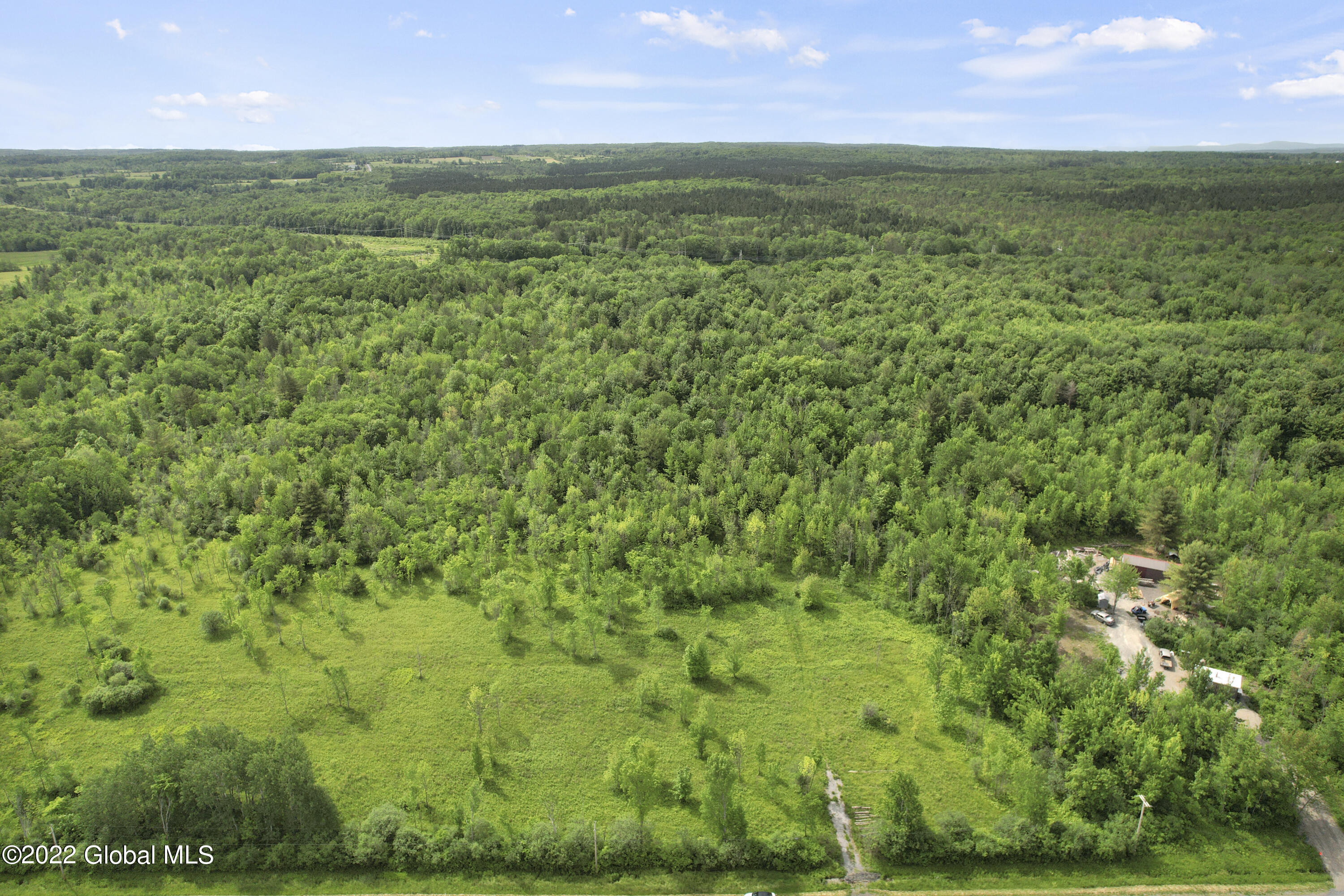 0 Logtown Road Fultonville, NY 12072 - Photo 3 of 11 1-DJI_0470