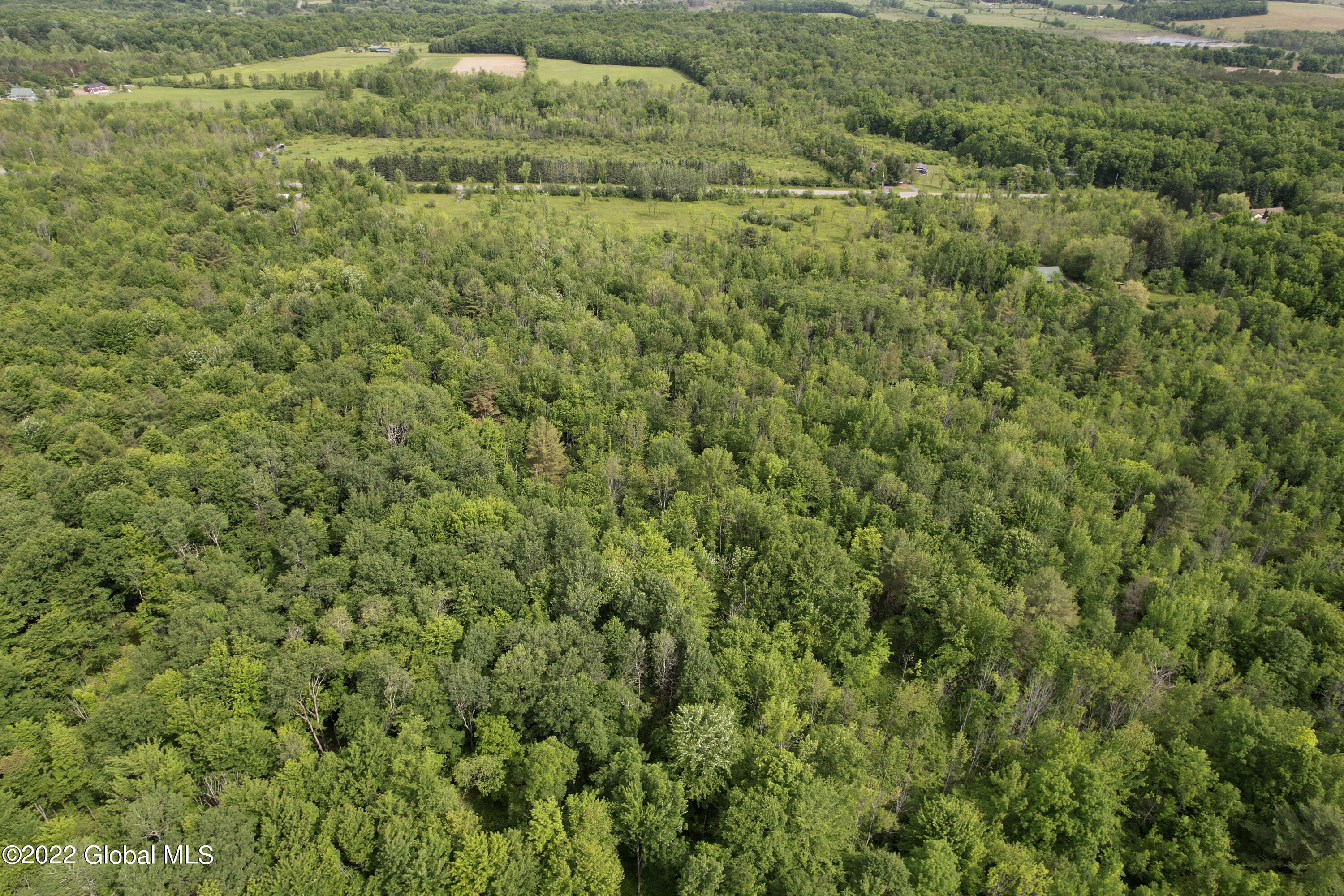 0 Logtown Road Fultonville, NY 12072 - Photo 6 of 11 4-DJI_0473